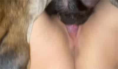 Chicas con Perrosxxx