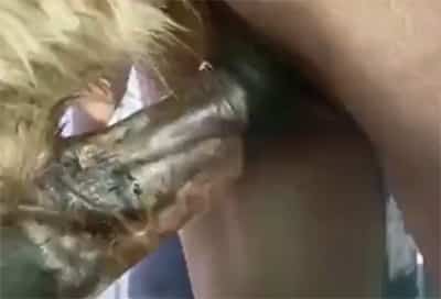 Sexo con caballosxxx
