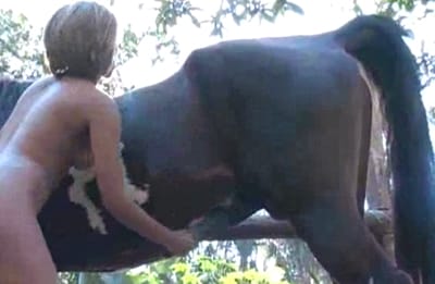 Video caballossexo