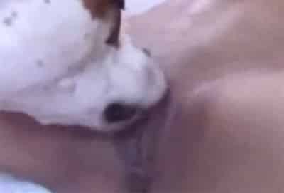 Videos de sofilia