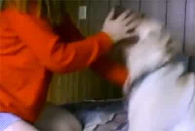 Mujeres zoofiliando