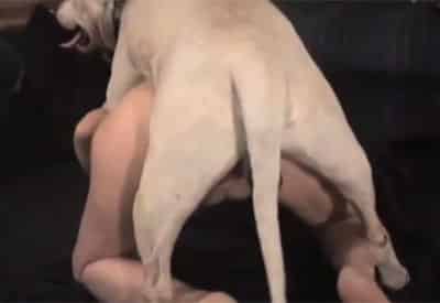 Perro tirandose a una mujer