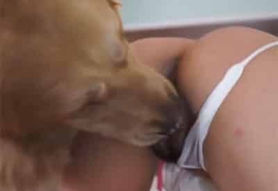 Inmigración mudo Mordrin Mujer fornicando con un perro en Besuconas.com