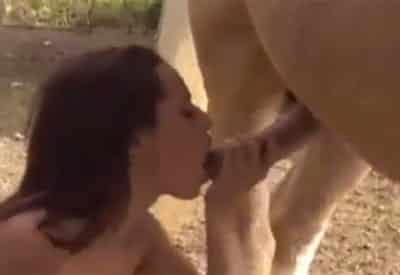 Mujer mamando polla de caballo